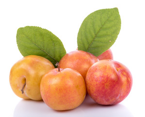 Ripe yellow plums