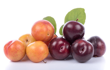 Ripe yellow and cherry plums