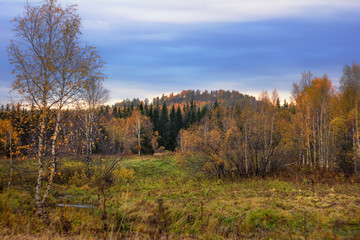 Forest autumn landscape in the national park Zyuratkul, Russia