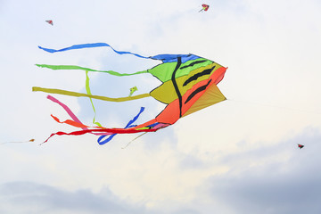 Colourful Kite