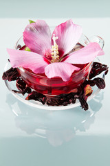 Malvenbl&uuml;tentee mit frischen und getrockneten Bl&uuml;ten in einer Glastasse