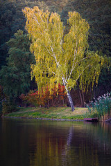 Autumn landscape in Mezhyhirya