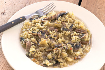 Risotto with mushrooms on plate with fork