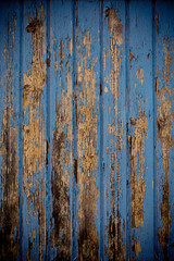 wood texture blue