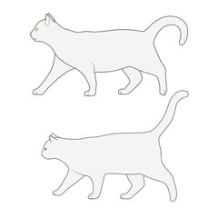 Cat side view scheme silhouette vector