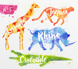 Obraz premium Painted animals crocodile