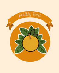 organic and healthy food 
