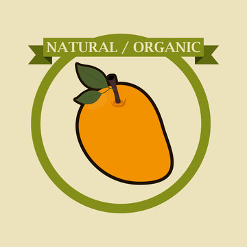 organic and healthy food 