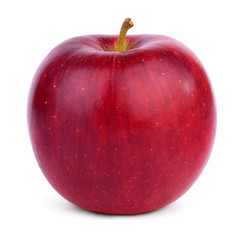 Ripe round red apple with a handle isolated on white background.