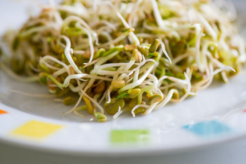 Fresh sprouts seeds isolated on plate ready to eat