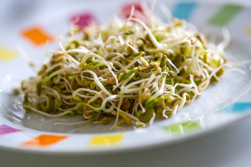 Fresh sprouts seeds isolated on plate ready to eat