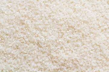 Short Grain Rice