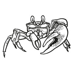 Detailed hand drawing Crab. Vector