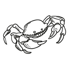 Detailed hand drawing Crab. Vector