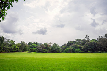 The Royal Botanic Garden.