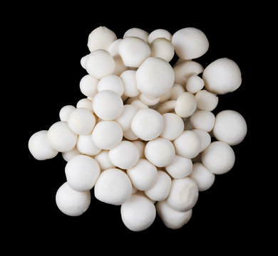 White beech mushrooms, bunapi shimeji, also called white clamshell mushrooms, an edible fungus on black background. Top view macro photo.