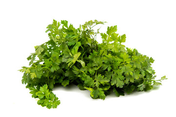 Fresh garden herbs. Parsley.
