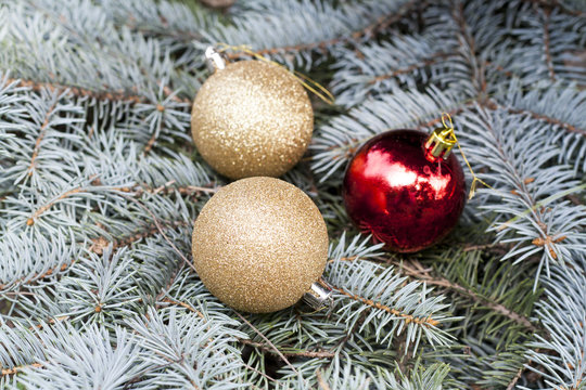 Christmas and New Year`s ball on the background spruce, close-up