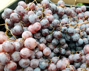 Red grapes for sale at the supermarket