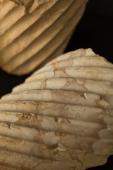 Roman column parts in the Archaeological Museum, Milan, Italy