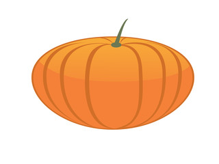 Pumkin