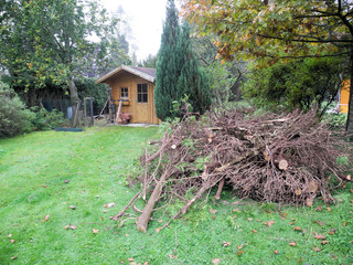 Gartenabf&auml;lle Heckenschnitt