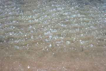 Crushed seashells under water
