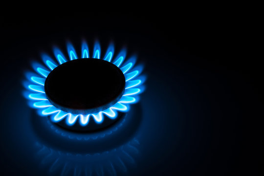 burning gas stove hob blue flames close up in the dark on a black background
