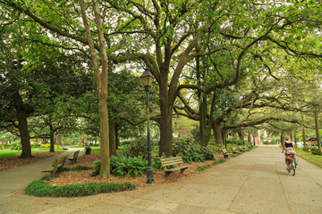 Bike Rider in Forsyth Park
