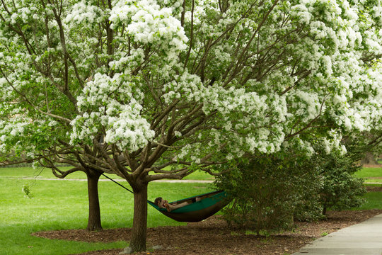 Relaxing in Forsyth Park