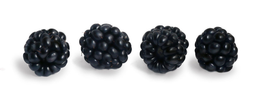 
Blackberries isolated on white