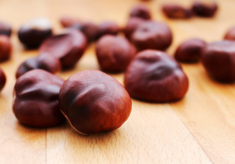 Beautiful autumn brown chestnuts on the floor