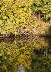 Autumn landscape with river