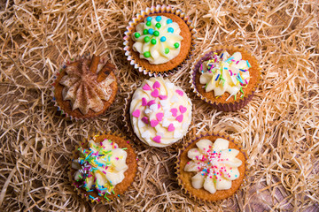 sweet colorful muffins with butter cream on hay background