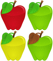 Apple in four color schemes.