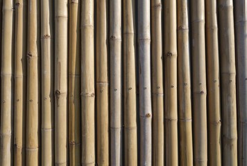 Bamboo fence background
