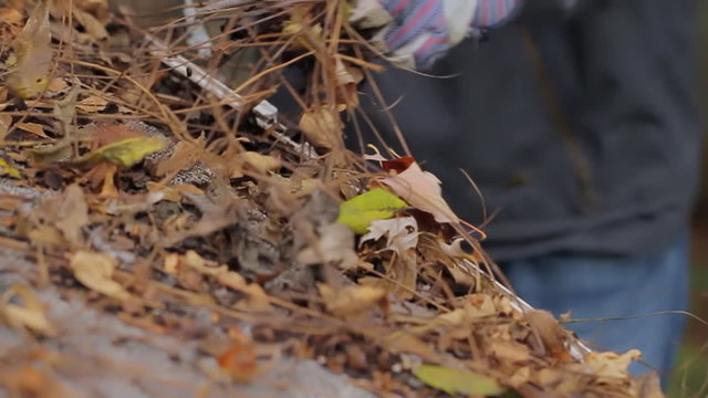 Gutter Cleaning Roof Dolly. hand reaches into gutter filled with dead leaves to clean. camera dollys
