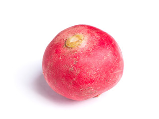Small garden radish