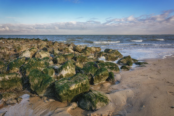 Fototapeta na wymiar Stones overgrown with algae.