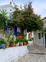 Fototapeta na wymiar The Garden Village, Afionas, Corfu, Greece.