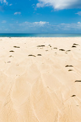 Atlantic ocean