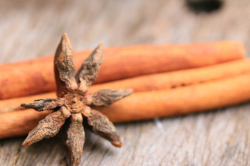 star anise and cinnamon