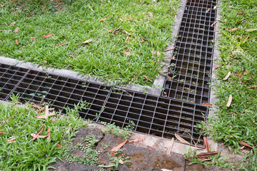 iron grate of water drain in grass garden field