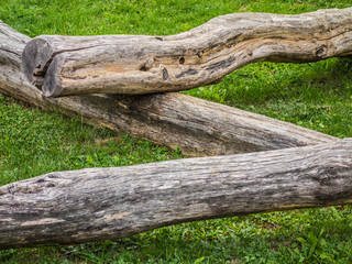 Baumstämme zum balancieren