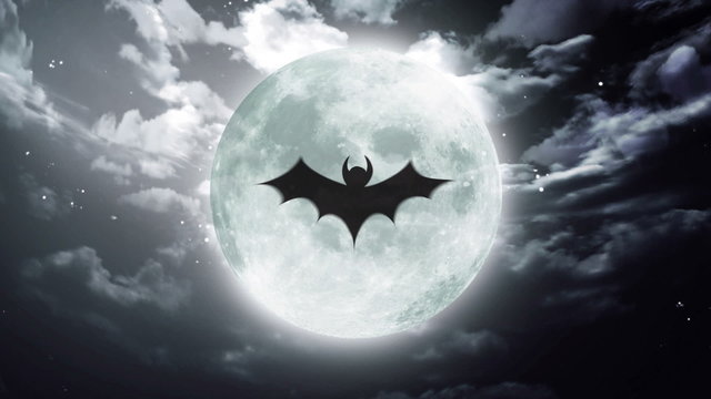 bat shadow at color halloween moon