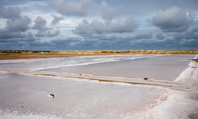 Salt production fields, Sal, Cabo Verde