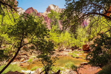 Fototapeta premium beeindruckende rot weiße Felsformationen in unberührter Natur in Amerikas Western