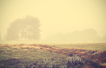 Retro toned foggy autumnal landscape at sunrise.