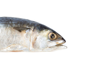 Salted mackerel