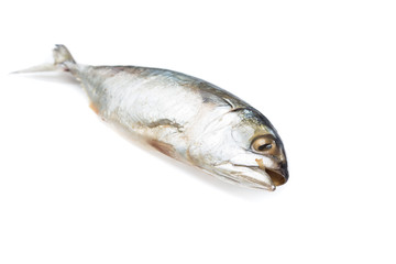 Salted mackerel